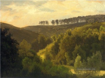  Sonnenaufgang Maler - Sonnenaufgang über Wald und Grove Albert Bierstadt